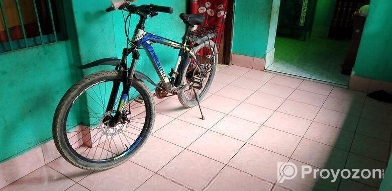 Phoenix Bicycle for sale