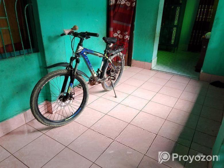 Phoenix Bicycle for sale