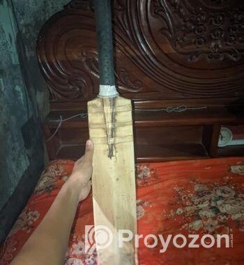 Cricket Bat