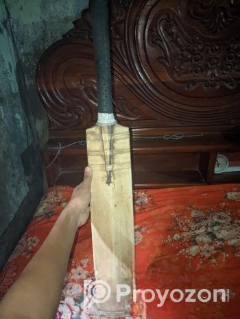 Cricket Bat