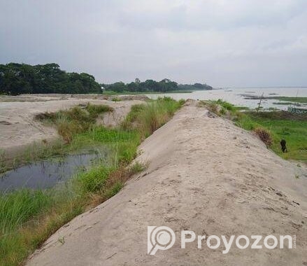 মেঘনার পাড়ে ৮০ বিঘা নদীভিউ জমি — রাজকীয় প্রজেক্টের