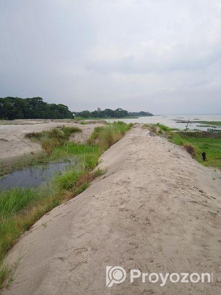 মেঘনার পাড়ে ৮০ বিঘা নদীভিউ জমি — রাজকীয় প্রজেক্টের