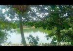 সস্তা দামে জমি বিক্রি হবে।