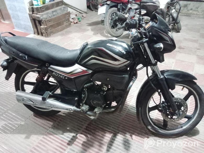 Runner Royal Plus . 2019