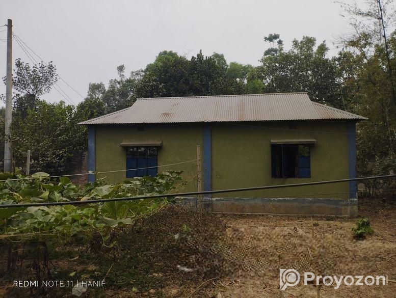 বাড়ি সহ জমি বিক্রি