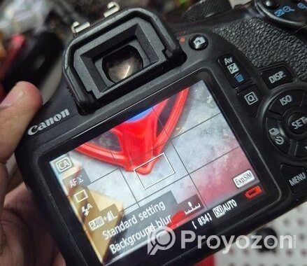 Canon 1300d + 50mm Prime Lens (70-300mm Sigma Auto