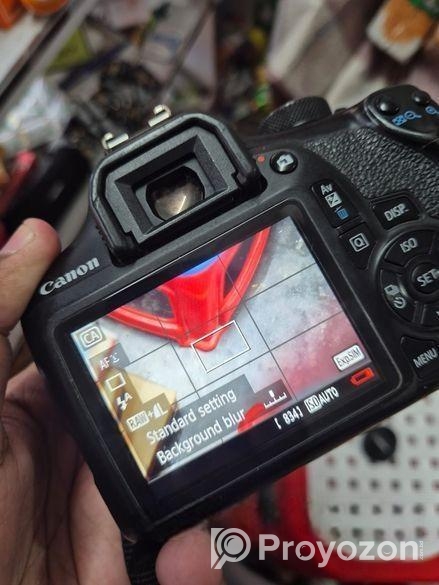 Canon 1300d + 50mm Prime Lens (70-300mm Sigma Auto