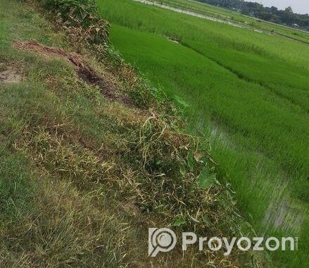 এক দাগে ৩ বিঘা জমি বিক্রয় করা হবে