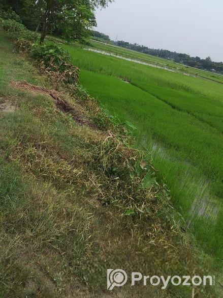 এক দাগে ৩ বিঘা জমি বিক্রয় করা হবে