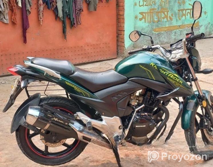 Dayang Runner Other Model knigh riderv2 2022