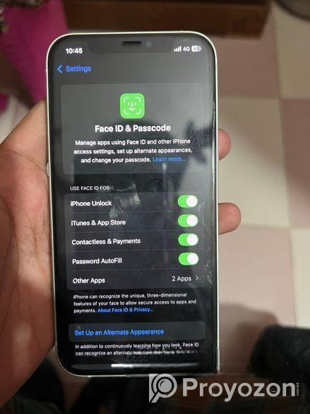 Apple iPhone 12 (Used)