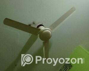 fitted-1_2025-08-02_11-40-39-1
