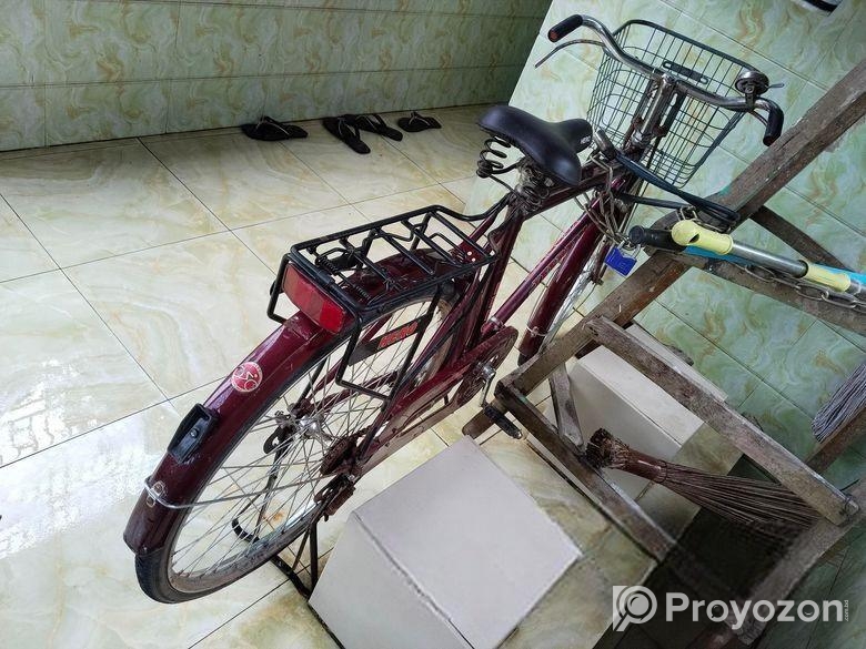 ইন্ডিয়ান হিরো সাইকেল