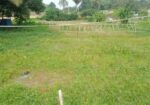 Land For Sell