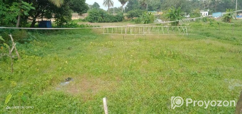 Land For Sell