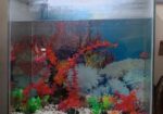 Aquarium Sell