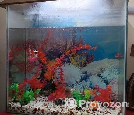 Aquarium Sell