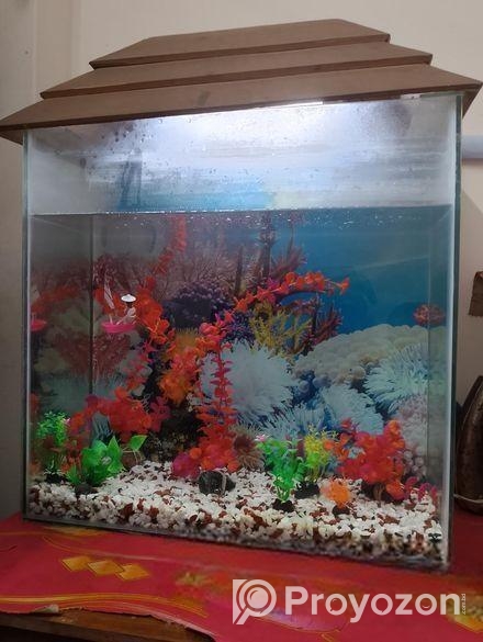 Aquarium Sell