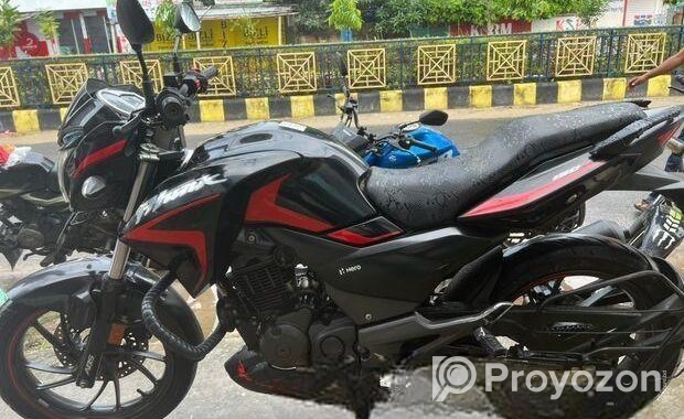 Hero Hunk DD Abs 2022