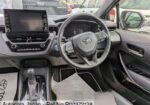 Toyota Corolla WXB Pearl 5/41000 km 2021
