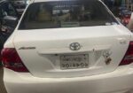 Toyota Axio 2010