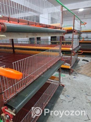 মুরগী পালনের আধুনিক খাচা