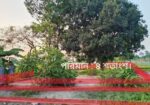 বাজেটের মধ্যে ভালো জায়গা