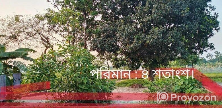বাজেটের মধ্যে ভালো জায়গা
