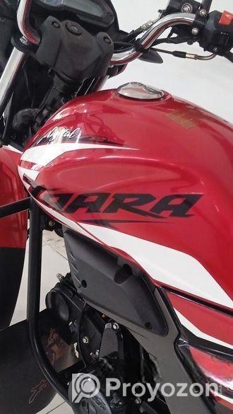 Zaara Digital V2 . 2024