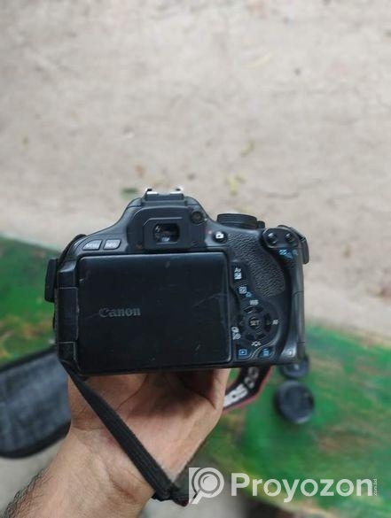 18/55 kit lens 55/250 zoom