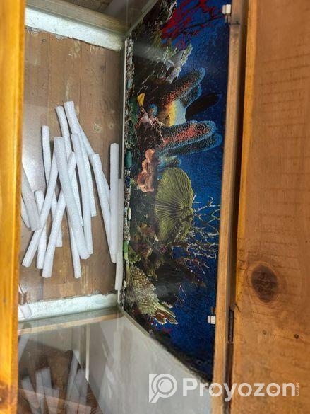 মাছের একুরিয়াম Sell