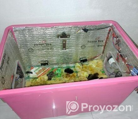incubator মুরগির বাচ্চা ফুটানোর মেশিন।