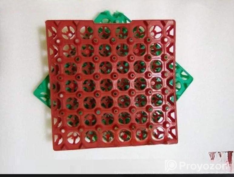 কোয়েল পাখির ডিমের ট্রে