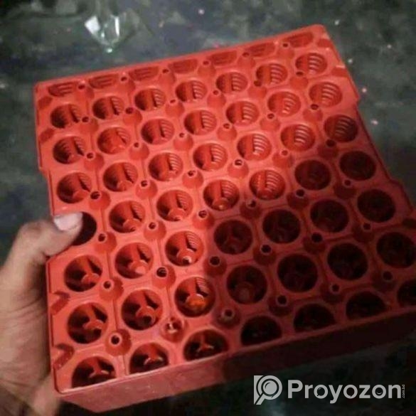 কোয়েল পাখির ডিমের ট্রে