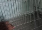 পাখির খাঁচা