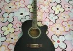 Guiter for sell
