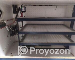 fitted-2025-08-03T122729.631_2025-08-03_12-28-54