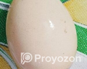 fitted-2025-08-03T130555.228