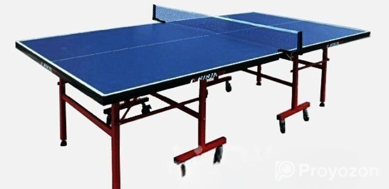 Table Tennis Board Single Folding with Wheel