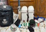 Cricket set