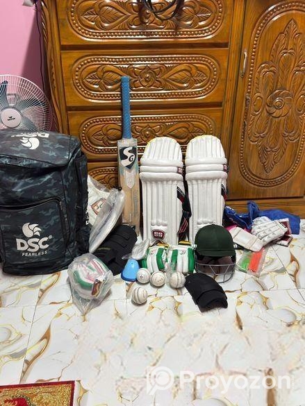 Cricket set
