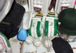 Cricket set