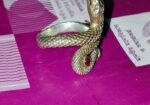 Rupar Ring