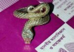 Rupar Ring