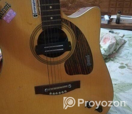 Givson Guitar
