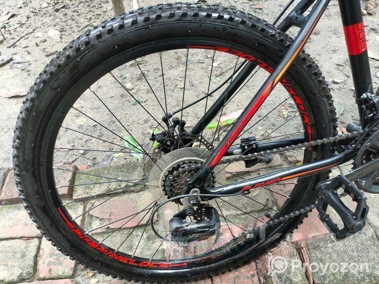 Veloce Slayer 1.0 ; Full Fresh