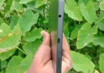 Samsung Galaxy Tab A9 (used)