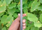 Samsung Galaxy Tab A9 (used)