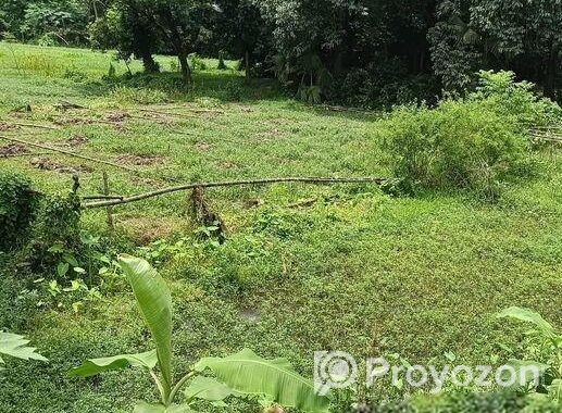 জমির বিক্রয়