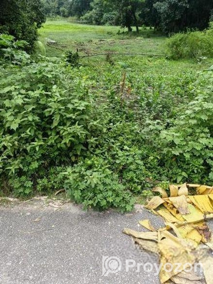 জমির বিক্রয়